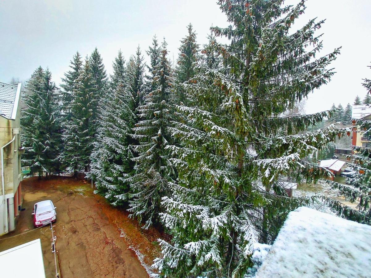 Vila Simonte Poiana Brasov Hotel Bagian luar foto