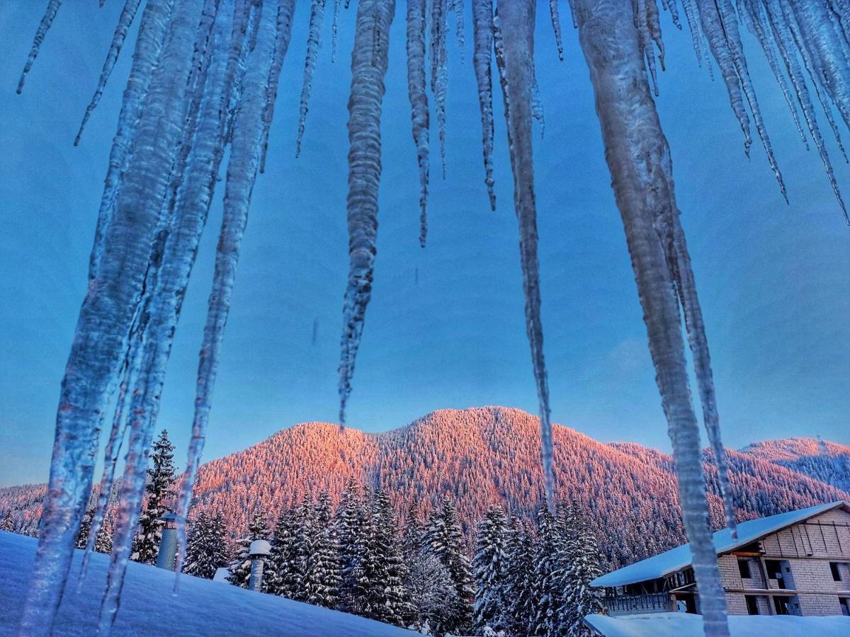 Vila Simonte Poiana Brasov Hotel Bagian luar foto